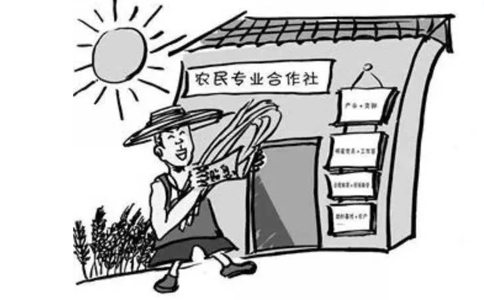 鄭州農民專業(yè)合作社設立登記表格如何填寫