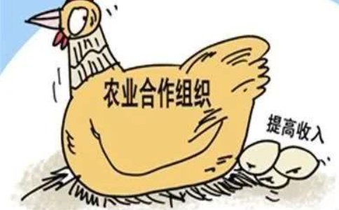 鄭州農(nóng)民專(zhuān)業(yè)合作社設(shè)立登記目錄