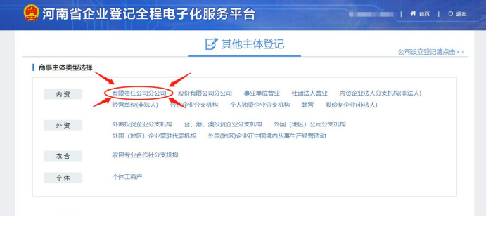惠濟(jì)區(qū)網(wǎng)上注冊(cè)分公司流程選擇有限責(zé)任分公司注冊(cè)