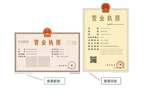 營業(yè)執(zhí)照副本編號怎么查詢？（最新詳細介紹）