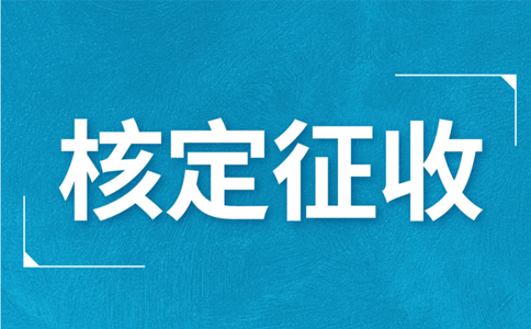 江西大額個(gè)體戶核定征收標(biāo)準(zhǔn)，2024年最新政策
